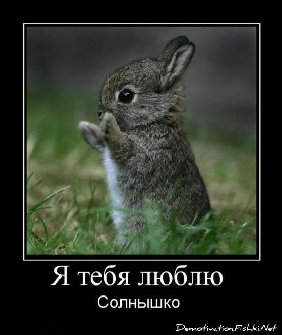 Смешной демотиватор от zubrilov за 06.08.2010 №57815