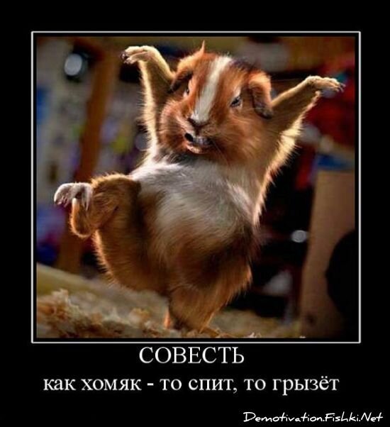 Смешной демотиватор от zubrilov за 06.08.2010 №57816