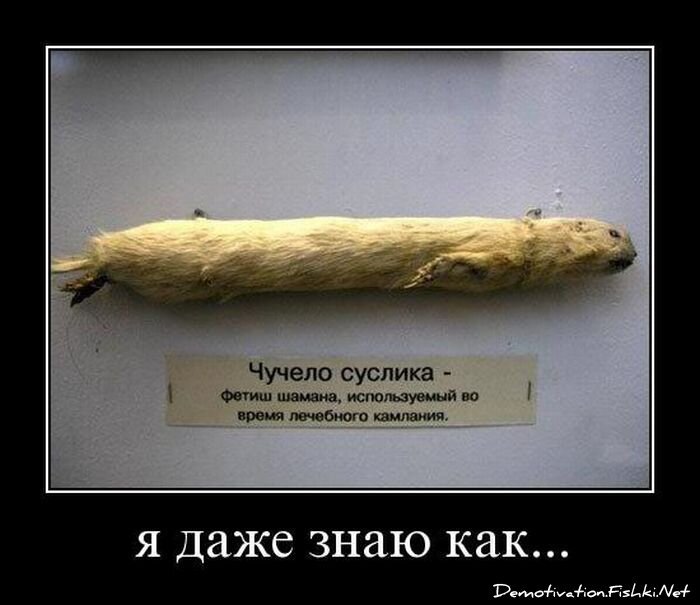 Смешной демотиватор от zubrilov за 06.08.2010 №57821