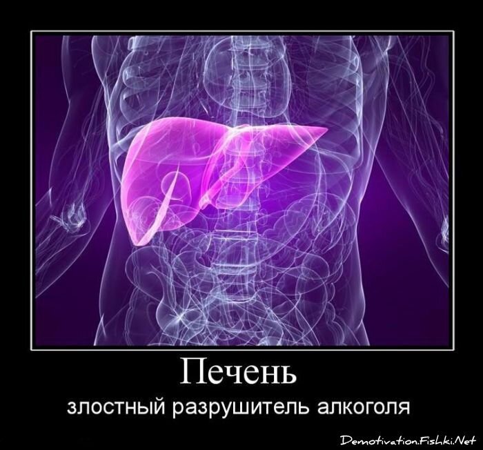 Смешной демотиватор от zubrilov за 06.08.2010 №57822