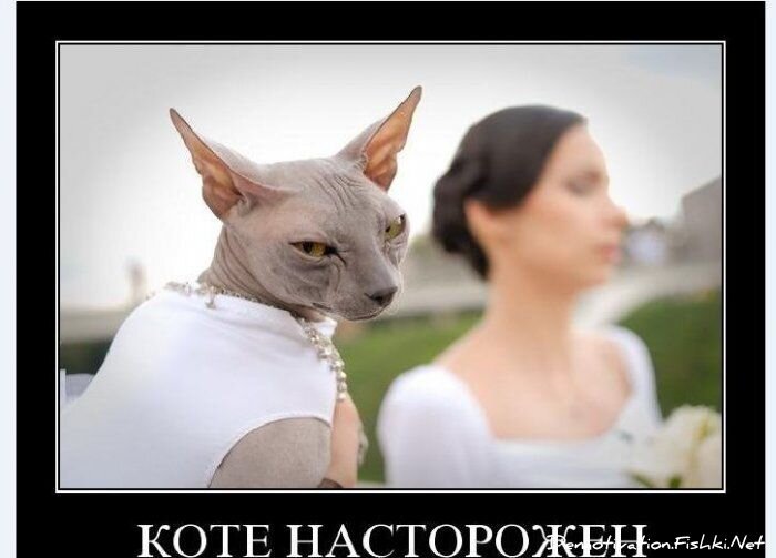 Смешной демотиватор от zubrilov за 06.08.2010 №57831