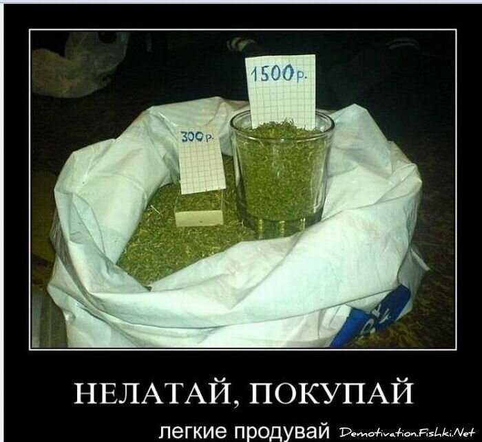 Смешной демотиватор от zubrilov за 06.08.2010 №57832