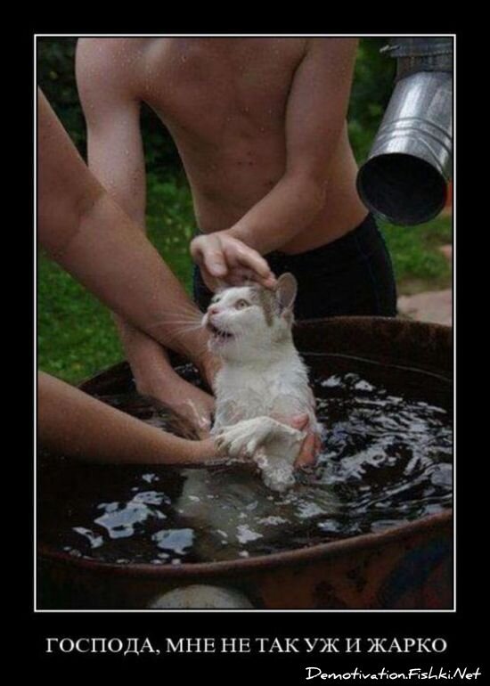 Смешной демотиватор от zubrilov за 06.08.2010 №57835