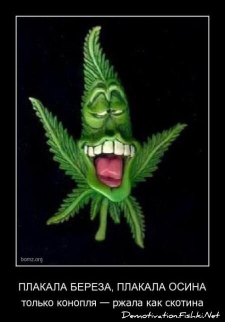 Смешной демотиватор от zubrilov за 06.08.2010 №57837