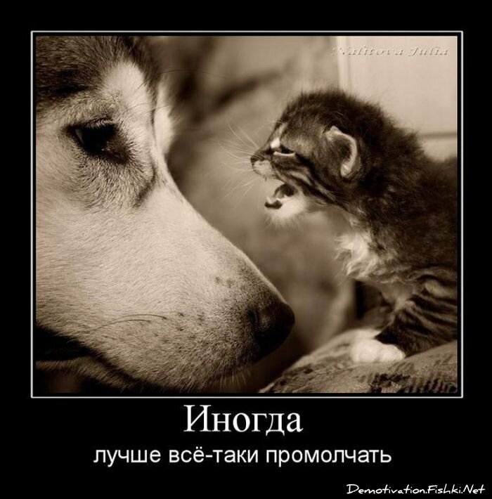 Смешной демотиватор от zubrilov за 06.08.2010 №57838