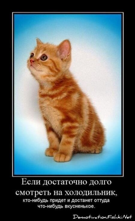 Демотиваторы, часть 66 (117 фото)