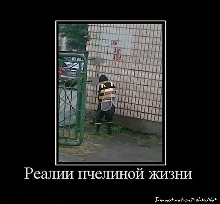 Демотиваторы, часть 66 (117 фото)
