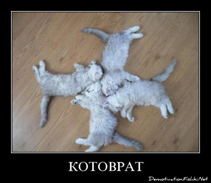 Смешной демотиватор от zubrilov за 06.08.2010 №57850