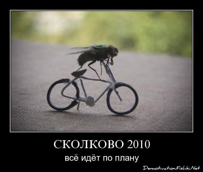 Смешной демотиватор от zubrilov за 06.08.2010 №57859