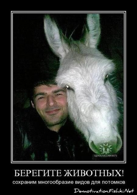 Смешной демотиватор от zubrilov за 06.08.2010 №57860