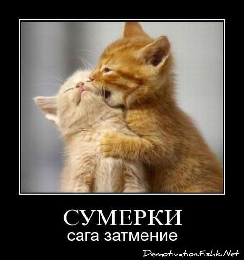 Смешной демотиватор от zubrilov за 06.08.2010 №57867