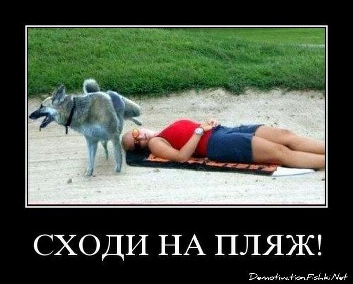 Смешной демотиватор от zubrilov за 06.08.2010 №57870