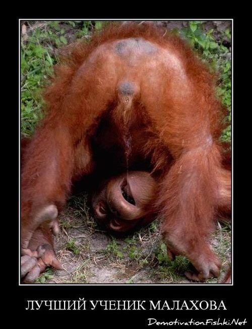 Смешной демотиватор от zubrilov за 06.08.2010 №57878