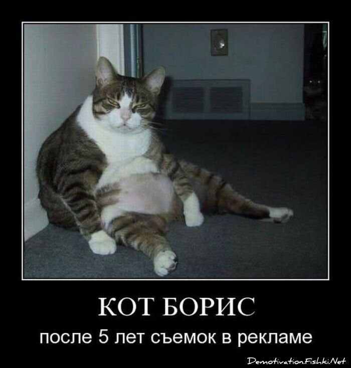 Смешной демотиватор от zubrilov за 06.08.2010 №57879