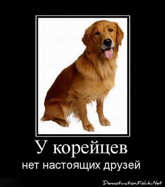 Смешной демотиватор от zubrilov за 06.08.2010 №57882