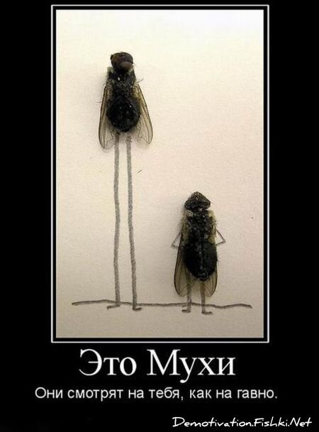 Смешной демотиватор от zubrilov за 06.08.2010 №57887
