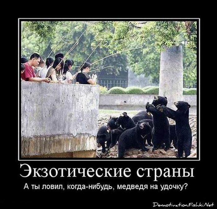 Смешной демотиватор от zubrilov за 06.08.2010 №57892