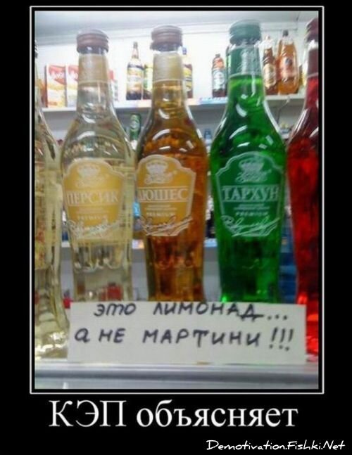 Смешной демотиватор от zubrilov за 06.08.2010 №57895