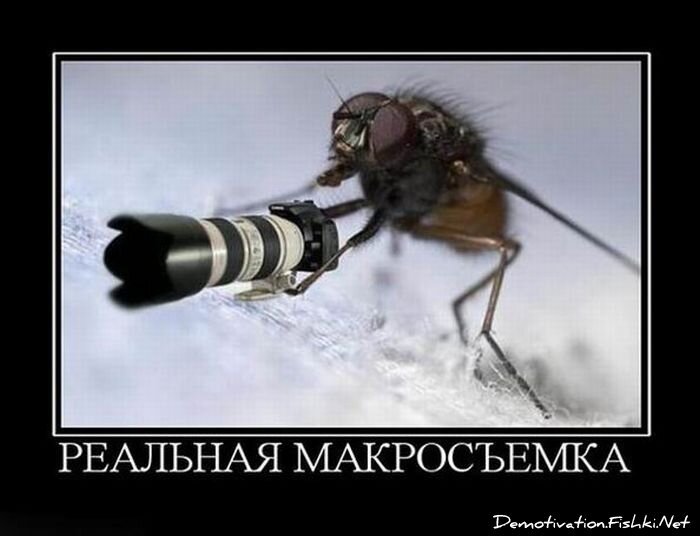 Смешной демотиватор от zubrilov за 06.08.2010 №57896