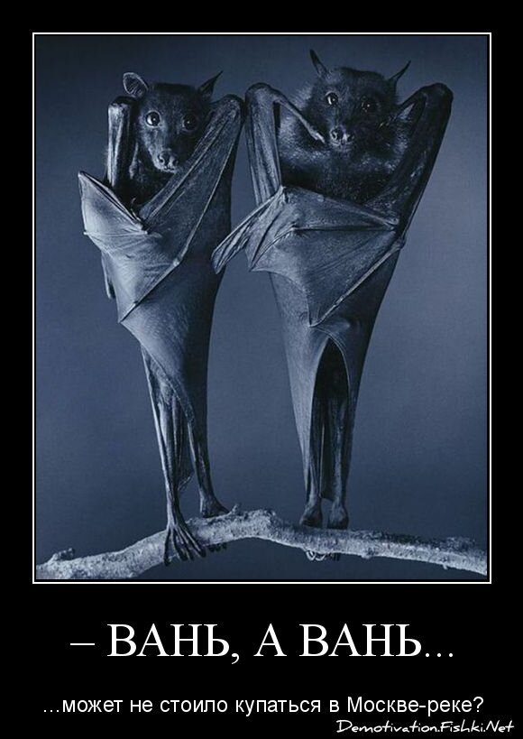 – ВАНЬ, А ВАНЬ...