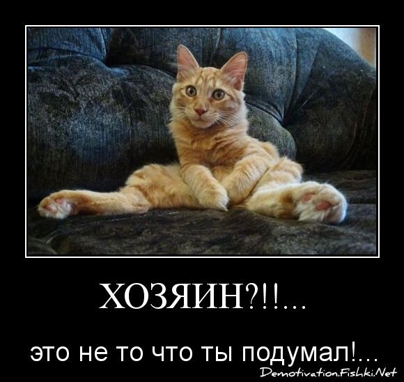 ХОЗЯИН?!!...
