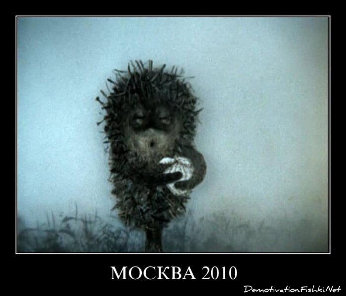 Смешной демотиватор от zubrilov за 13.08.2010 №58021