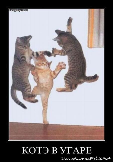 Смешной демотиватор от zubrilov за 13.08.2010 №58031