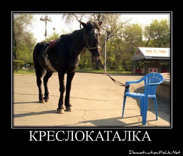 Смешной демотиватор от zubrilov за 13.08.2010 №58036