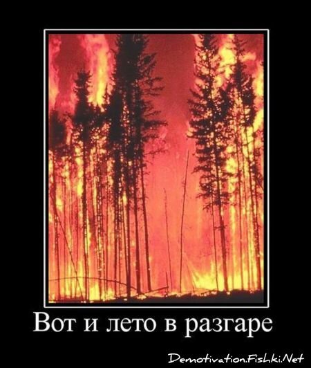 Демотиваторы, часть 67 (111 фото)