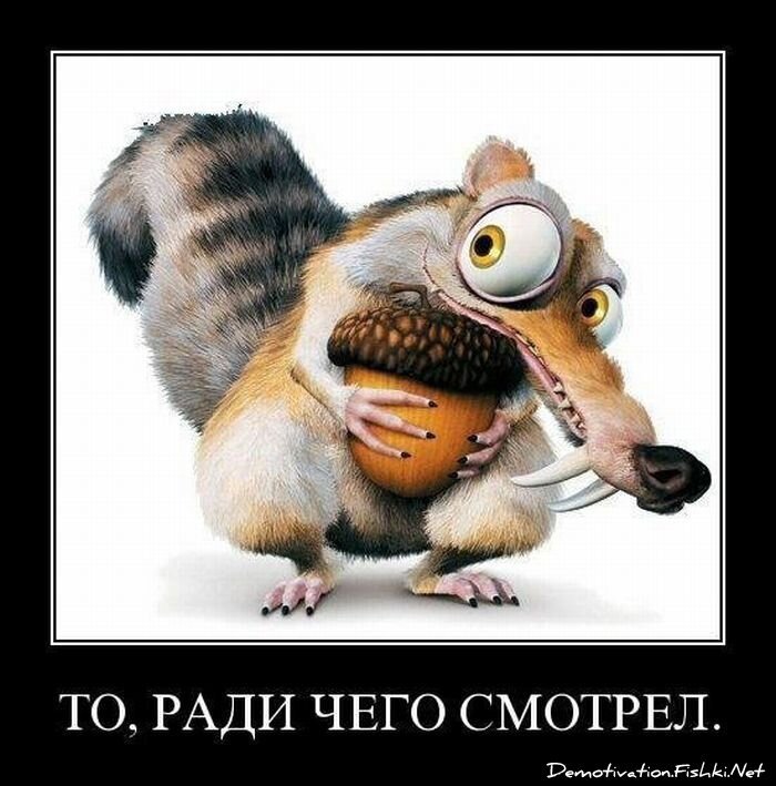 Смешной демотиватор от zubrilov за 13.08.2010 №58049