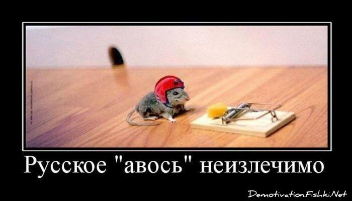 Смешной демотиватор от zubrilov за 13.08.2010 №58050