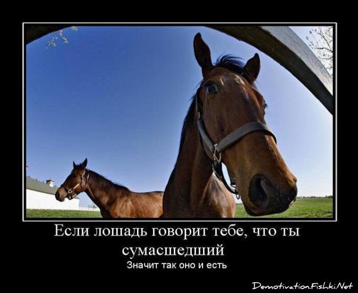 Смешной демотиватор от zubrilov за 13.08.2010 №58060