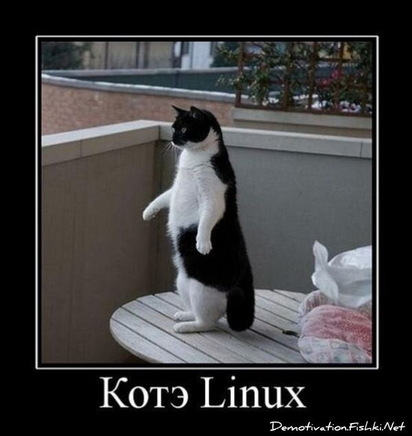 Демотиваторы, часть 67 (111 фото)