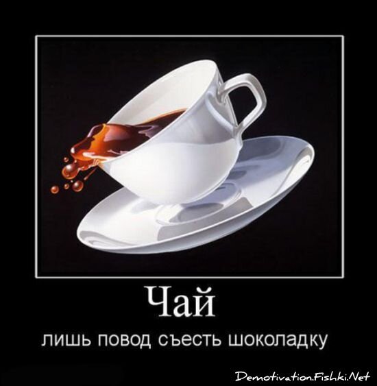 Смешной демотиватор от zubrilov за 13.08.2010 №58066