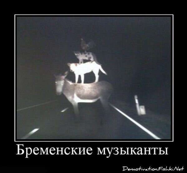 Смешной демотиватор от zubrilov за 13.08.2010 №58067