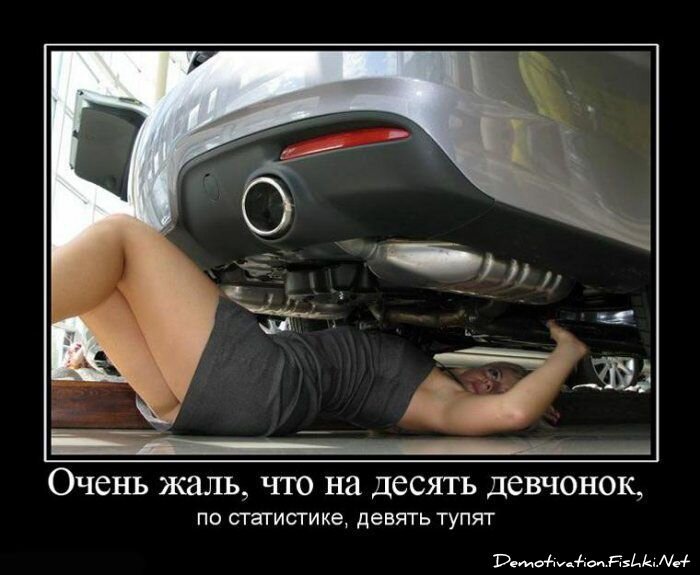 Смешной демотиватор от zubrilov за 13.08.2010 №58076