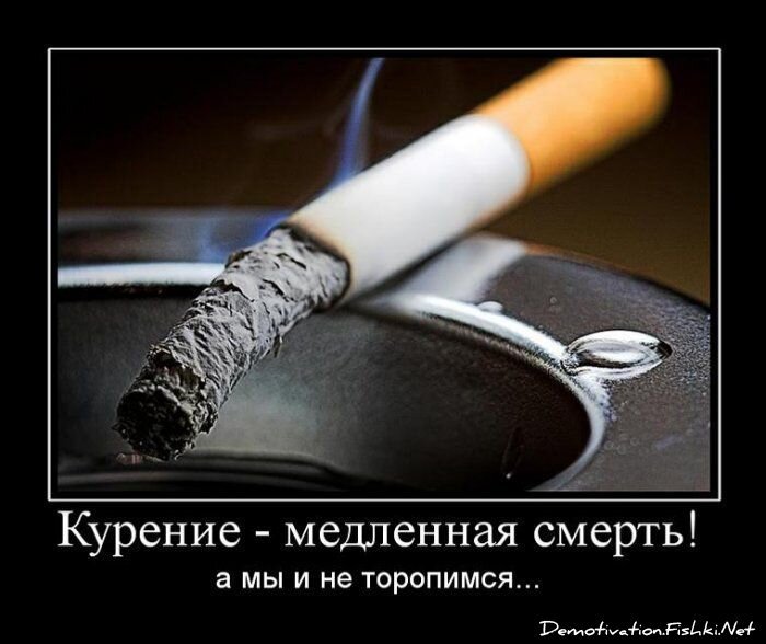 Смешной демотиватор от zubrilov за 13.08.2010 №58113