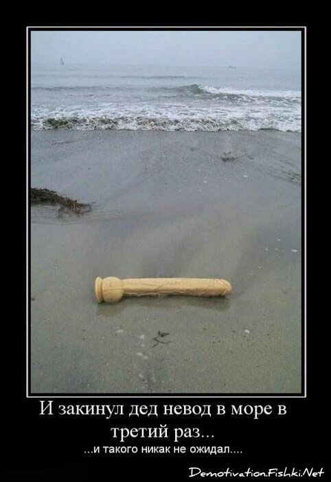 Смешной демотиватор от zubrilov за 13.08.2010 №58117