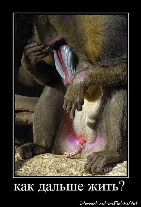 Демотиваторы, часть 67 (111 фото)
