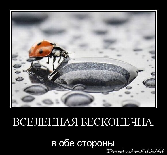 Вселенная бесконечна.