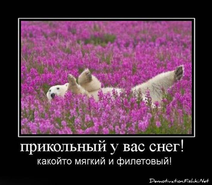 Смешной демотиватор от zubrilov за 20.08.2010 №58216