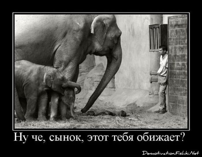 Смешной демотиватор от zubrilov за 20.08.2010 №58243