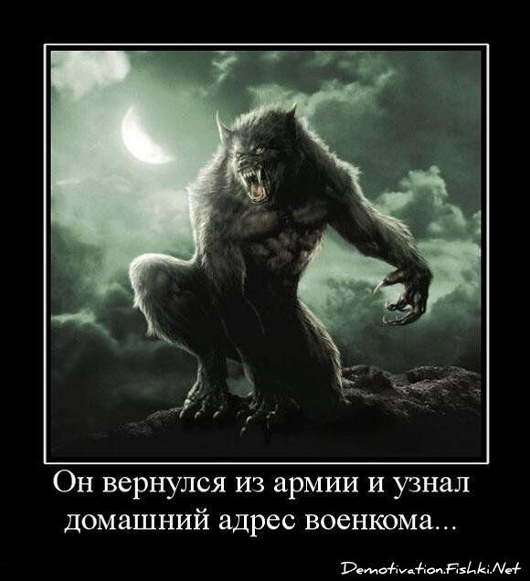 Смешной демотиватор от zubrilov за 20.08.2010 №58248
