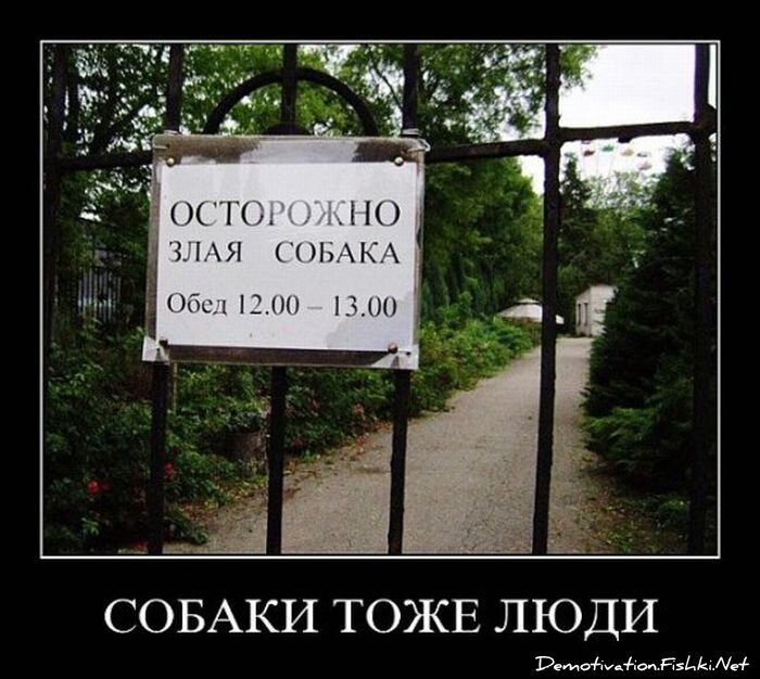 Смешной демотиватор от zubrilov за 20.08.2010 №58264