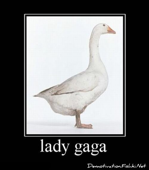 Смешной демотиватор от zubrilov за 20.08.2010 №58266