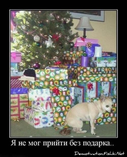 Смешной демотиватор от zubrilov за 20.08.2010 №58269