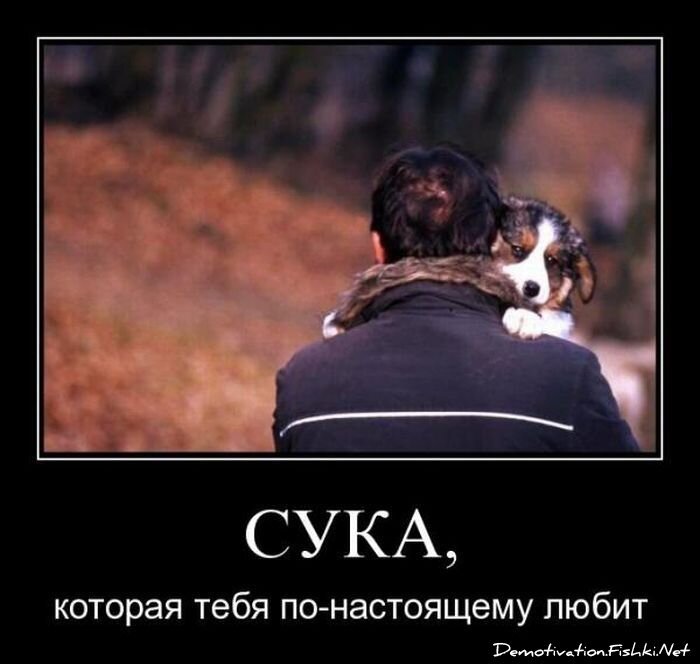 Смешной демотиватор от zubrilov за 20.08.2010 №58288