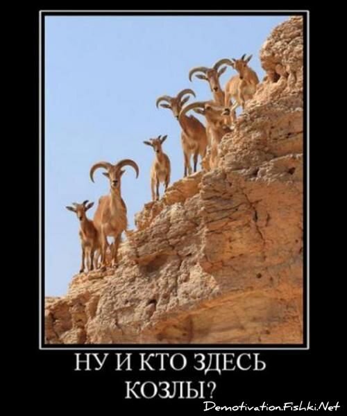 Смешной демотиватор от zubrilov за 20.08.2010 №58293