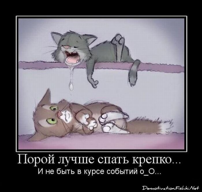 Смешной демотиватор от zubrilov за 20.08.2010 №58310