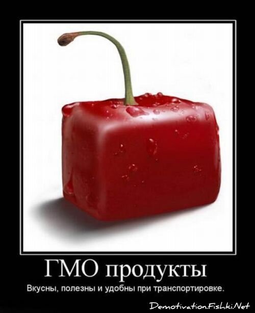 Смешной демотиватор от zubrilov за 20.08.2010 №58314